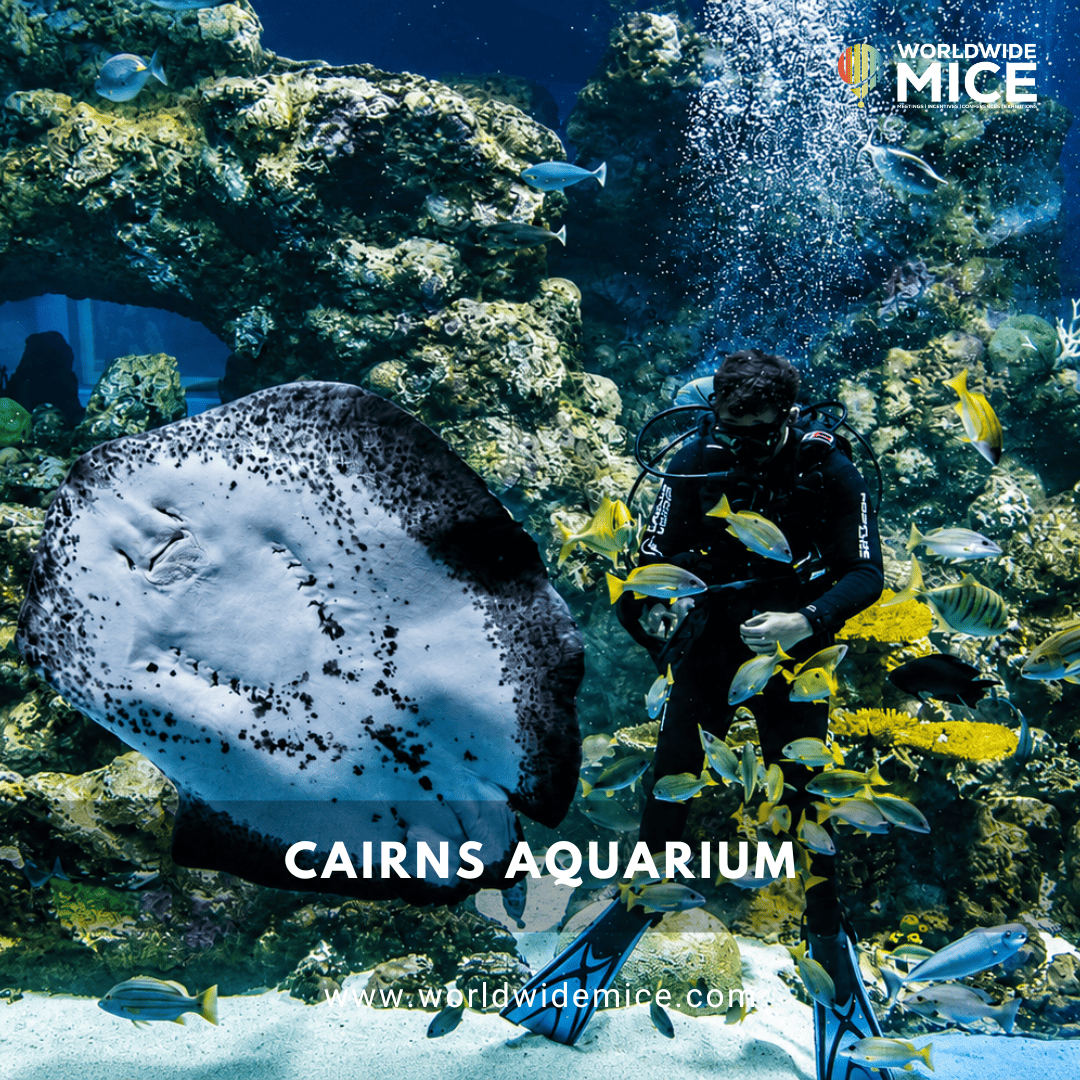 Cairns Aquarium
